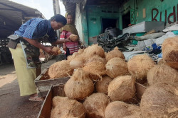 Harga Kelapa di Pasar Bantul Meroket, Pedagang Prediksi Tren Kenaikan Hingga Perayaan Iduladha