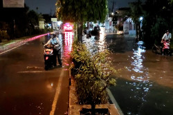 Diguyur Hujan Deras, Sejumlah Titik di Sleman Terendam Banjir