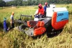 Kelompok Tani Bantul Terima Bantuan Alsintan