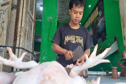 Harga Daging Ayam di Pasar Sleman Naik Menjelang Iduladha