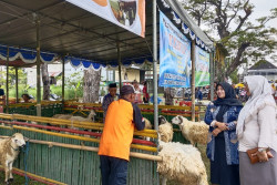 Pasar Tani di Lapangan Trirenggo, Tersedia Berbagai Makanan hingga Hewan Kurban
