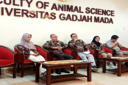 Penelitian UGM, Koperasi Merah Putih Bisa Mendukung Perekonomian Hasil Peternakan
