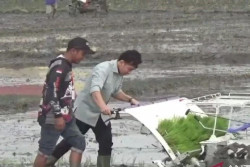 Wapres Gibran Tanam Varietas Inpari 32 di Ngawi