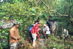 Ketua DPRD DIY Ajak Warga Gencarkan Penanaman Mangrove di Baros