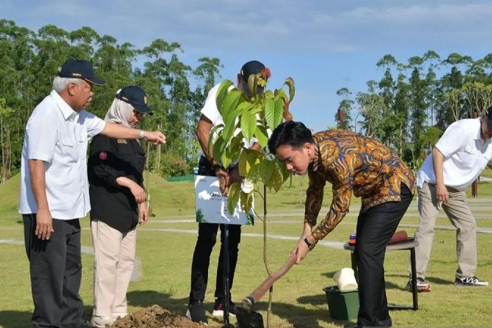 Gibran Tanam Pohon Ulin di IKN, Simbol Ketangguhan dan Harapan