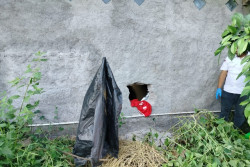 Gudang Pakan di Sewon Dibobol Maling, Uang Rp124 Juta Raib