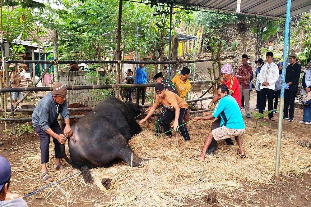 Iduladha 2025, Pemkab Sleman Terjunkan 358 Petugas untuk Memantau 2.638 Titik Lokasi Penyembelihan Hewan Kurban