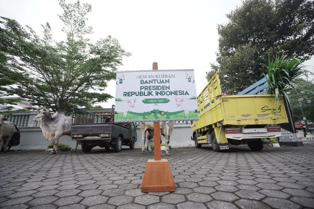 Sapi Kurban dari Gubernur DIY, Wakil Gubernur dan Presiden Didistribusikan ke Masyarakat