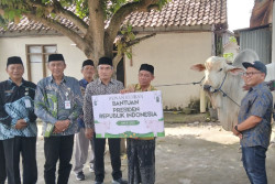 Pemkab Bantul Menyerahkan Hewan Kurban Presiden ke Masjid Al-Asyiar Piyungan