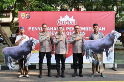 Polda DIY Salurkan Puluhan Hewan Kurban, Sasar Panti Asuhan hingga Pondok Pesantren