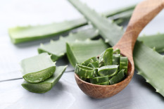 Merawat Rambut Bisa Menggunakan Bahan-Bahan Alami, Simak Tipsnya