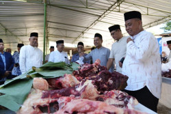 Petugas Pemantau Hewan Kurban Fokus pada Pemeriksaan Cacing Hati