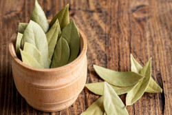 Daun Salam, Bumbu Dapur dengan Segudang Manfaat Kesehatan