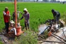 Jaringan Irigasi Tersier Sepanjang 300 Kilometer di Sleman Rusak