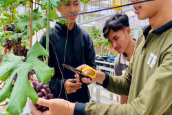 Jogja Agro Park Dikunjungi 750 Orang Per Bulan