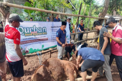 Syiarkan Kebaikan, Sebarkan Keberkahan: Bank Syariah BDS Gelar Kegiatan Qurban dan Baksos di Gunungkidul dan Kulonprogo