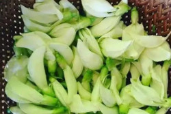 Penjelasan Apa Itu Kembang Turi, Manfaat untuk Kesehatan dan Rekomendasi Jenis Masakan