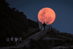 Fenomena Strawberry Moon Terlihat pada Rabu Malam