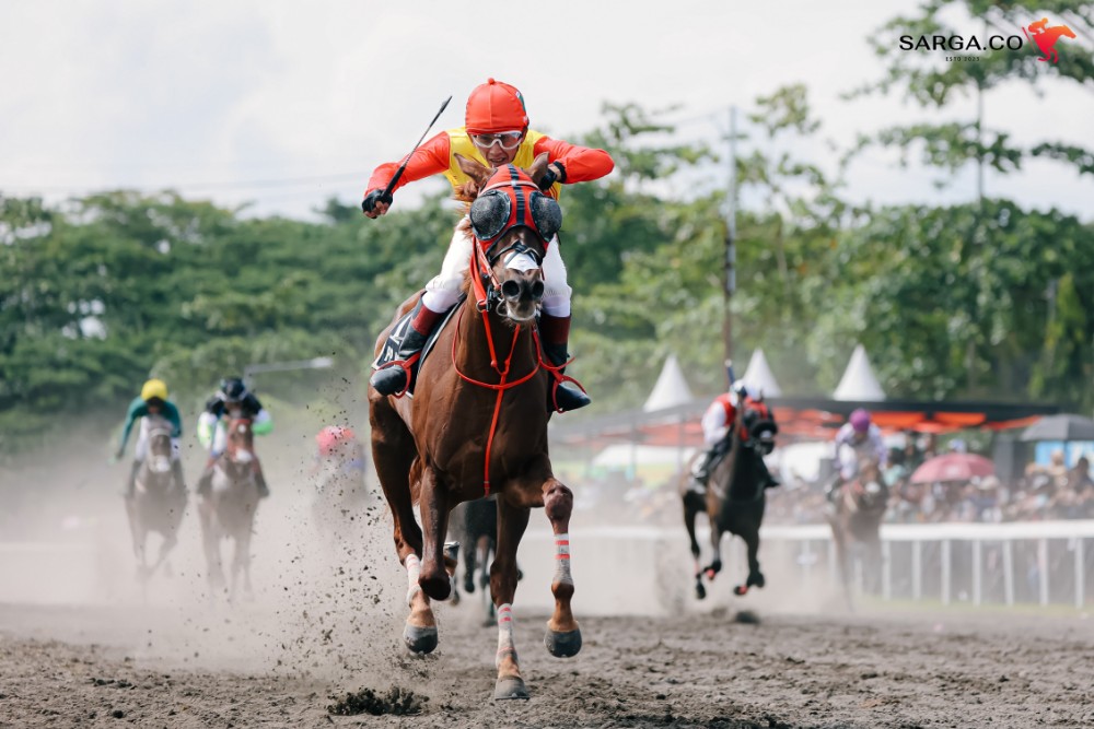 Indonesias Horse Racing Cup 2025: 131 Kuda Kelas Perebutkan Total Hadiah Lebih Dari Rp400 Juta