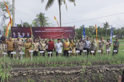 Tekankan Ketahanan Pangan, GKR Hemas Kunjungi Petani Bawang di Klayar Gunungkidul