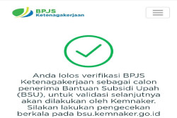 Cair Juni 2025, Link Cara Mengecek Status Penerima Dana BSU
