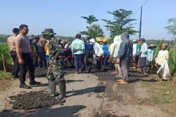 Jalan di Kulonprogo yang Ditanami Pohon Pisang Akhirnya Berbuah Material Uruk