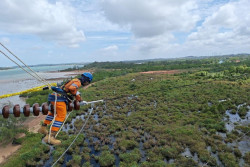 Wujud Kontribusi ke Negara, PLN Setor Rp65,59 Triliun Lewat Dividen, Pajak, dan PNBP