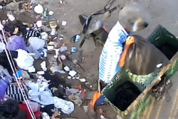 Ngeyel! Pembuang Sampah Sembarangan Terekam CCTV di Bantul, Diunggah di Media Sosial