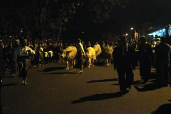 5.000 Orang Bakal Ikuti Kirab Malam 1 Suro Kraton Surakarta