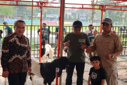 Ratusan Kambing Ras Kaligesing Ikut Kontes Piala Dandim Bantul di Dlingo
