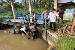 Mayat Pria Ditemukan Tersangkut Pintu Air Selokan di Kulonprogo, Diduga Korban Laka Lantas
