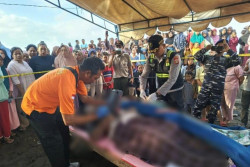 Identitas 4 Korban Meninggal Penumpang KMP Tunu Pratama Jaya Tenggelam di Selat Bali
