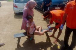 Ubur-Ubur Mulai Jarang Terlihat di Pantai Gunungkidul, Pengunjung Tetap Diminta Waspada