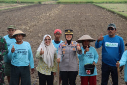 Polres Bantul Tanam Jagung Varietas Jago 20 Seluas 8 Haktare, Ini Tujuannya