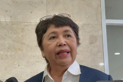 Nurmala Kartini Sjahrir, Adik Luhut yang Diunggulkan jadi Dubes Indonesia di Jepang, Berikut Profilnya