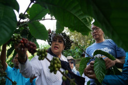 Tak Hanya Tempat Wisata Religi, Petilasan Gunung Gambar Juga Jadi Sentra Kopi di Gunungkidul