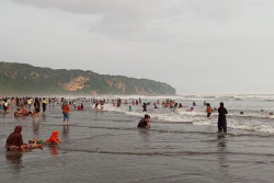 Libur Sekolah, 230 Wisatawan Tersengat Ubur-ubur di Pantai Wilayah Bantul