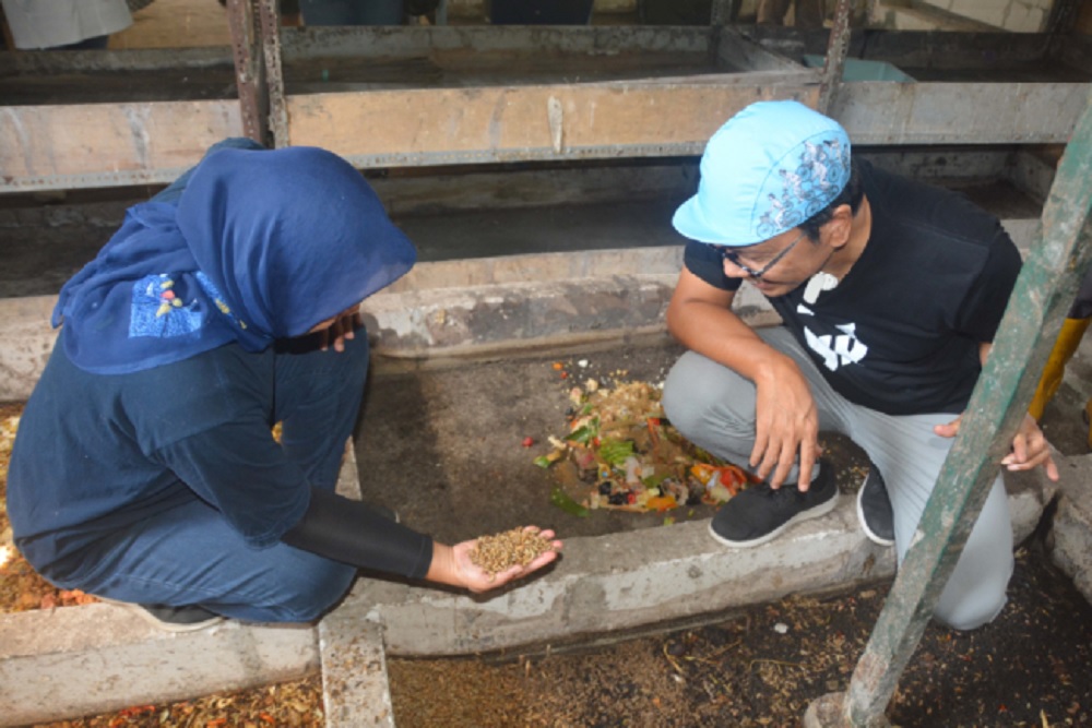Kemantren Kraton di Jogja Dorong Inovasi Budi Daya Maggot untuk Atasi Sampah