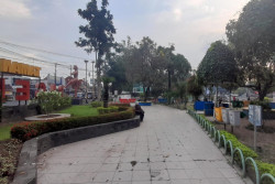 RTH di Bantul Baru 20 Persen dari Total Luas Wilayah, Belum Capai Ketentuan Minimal