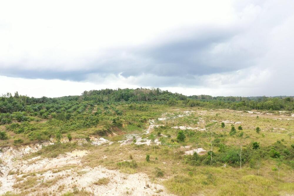Ramai Isu Tanah Kosong Selama 2 Tahun Diambil Negara, Dirjen PPTR Sebut Kriteria Penetapan Objek Penertiban Tanah Telantar SHM Berbeda dengan SHGU dan SHGB