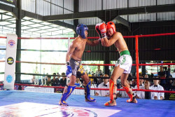 Ratusan Atlet Ramaikan Pertarungan Kick Boxing Redy Jogja Championship