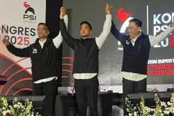 Terpilih Lagi Jadi Ketum PSI, Kaesang Pangarep Janji Bawa Partai ke Senayan