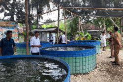 Pemkab Gunungkidul Berikan Bantuan Benih Ikan ke Kelompok yang Tak Aktif, Ini Tujuannya