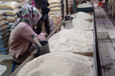 Harga Beras Premium di Pedagang Eceran Rerata Nasional Pagi Ini Rp15.902 per Kilogram