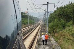 Tabrak Biawak, Kereta Cepat Whoosh Terlambat 40 Menit