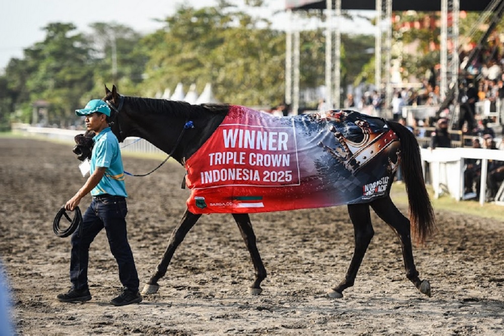 IHR-Indonesia Derby 2025: Kuda King Argentin Raih Gelar Triple Crown Indonesia