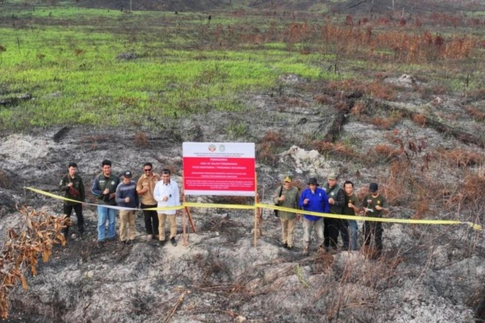 Kemenhut Segel 2 Perusahaan Terkait Kebakaran Hutan di Perbatasan Malaysia