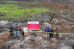 Kemenhut Segel 2 Perusahaan Terkait Kebakaran Hutan di Perbatasan Malaysia