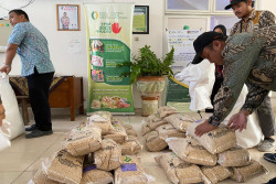 74 Gapoktan di Bantul dapat Bantuan Benih Padi, Pemkab Targetkan Swasembada