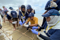 Jaga Ekosistem Pesisir Selatan Sumbar, KKN UGM Menoreh Mandeh Tanam Ratusan Terumbu Karang